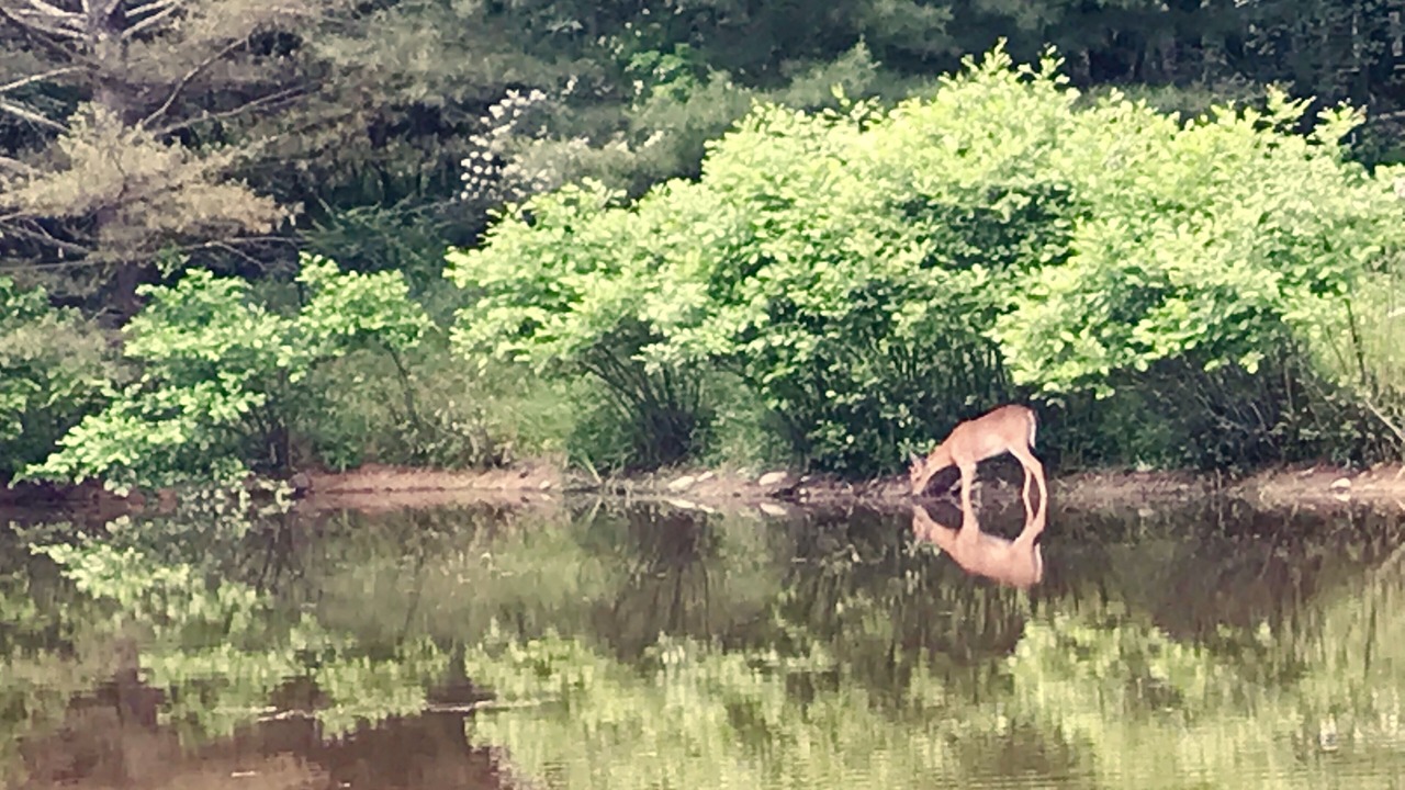 Photo of Outdoor in Wallkill