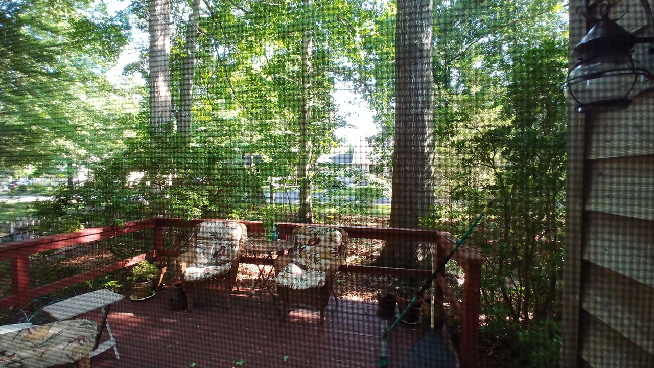Photo of Outdoor in Millsboro