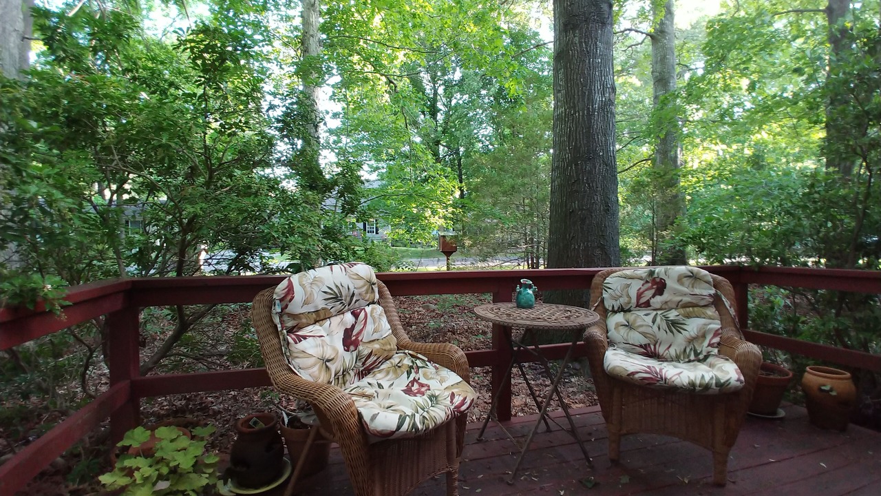 Photo of Outdoor in Millsboro