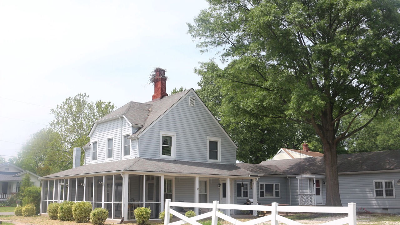Photo of Outdoor in Colonial Beach