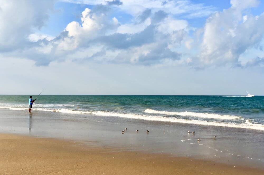 Photo of Others in Northeast Virginia Beach