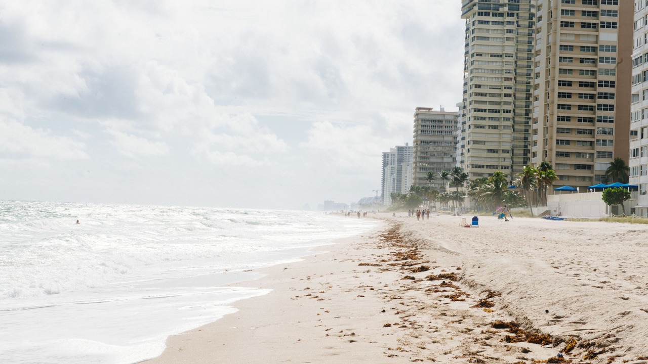 Photo of Others in East Fort Lauderdale