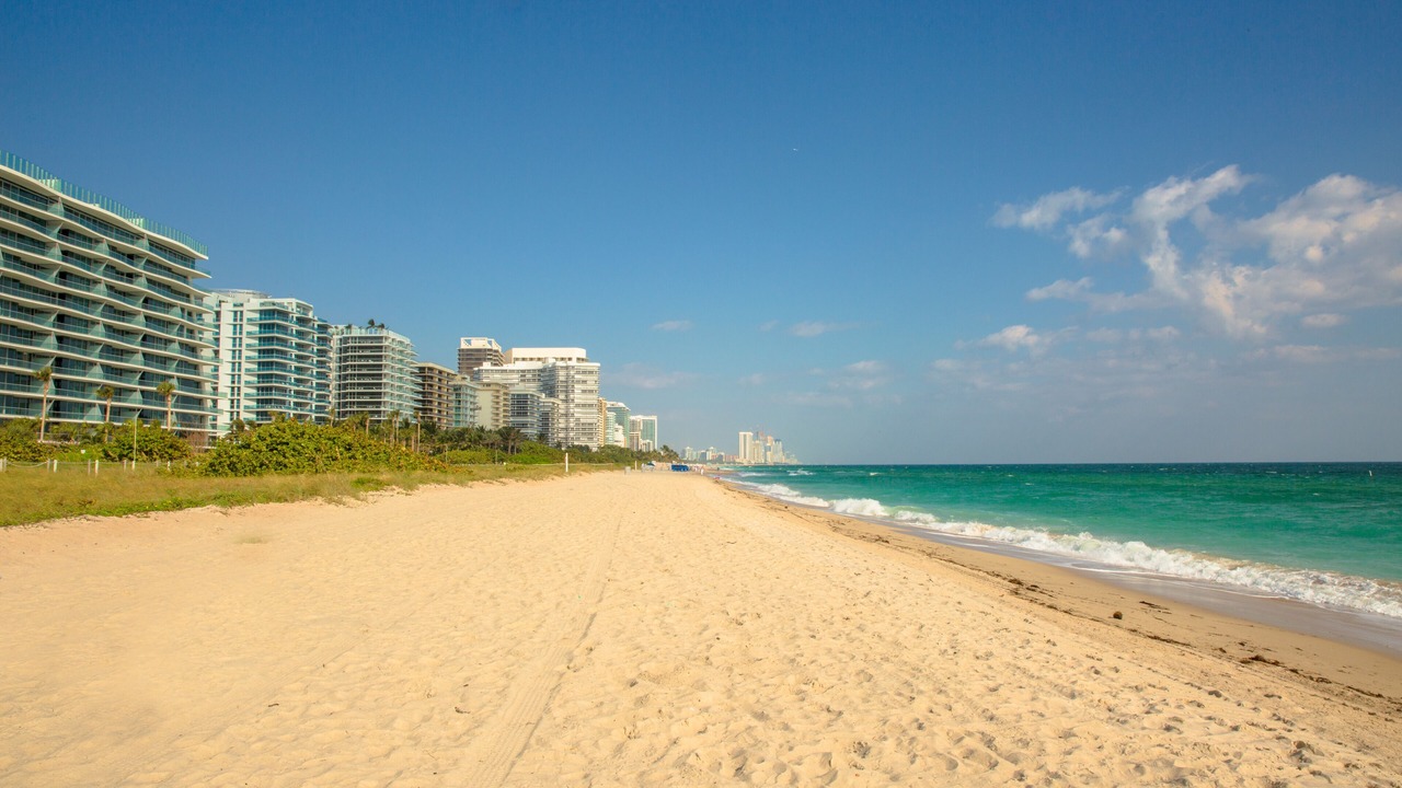 Photo of Others in Surfside