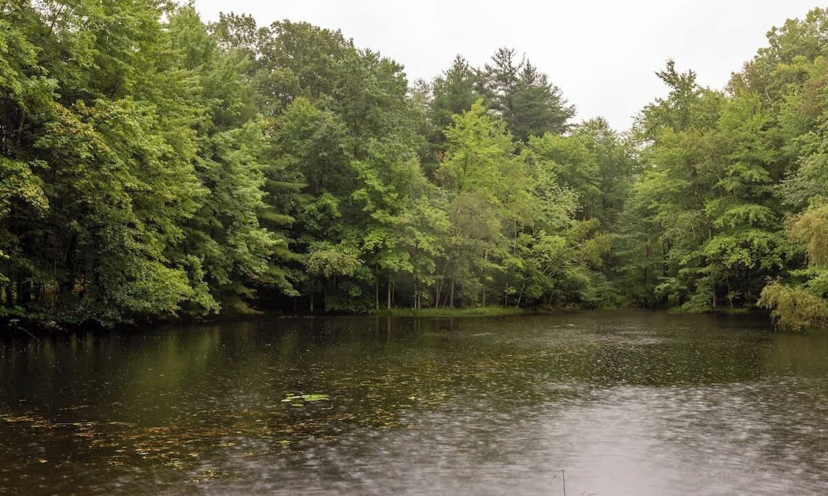 Photo of Others in Saugerties
