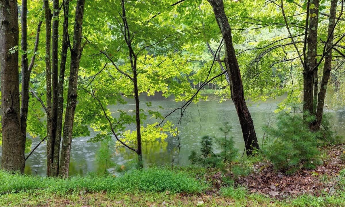 Photo of Others in Saugerties