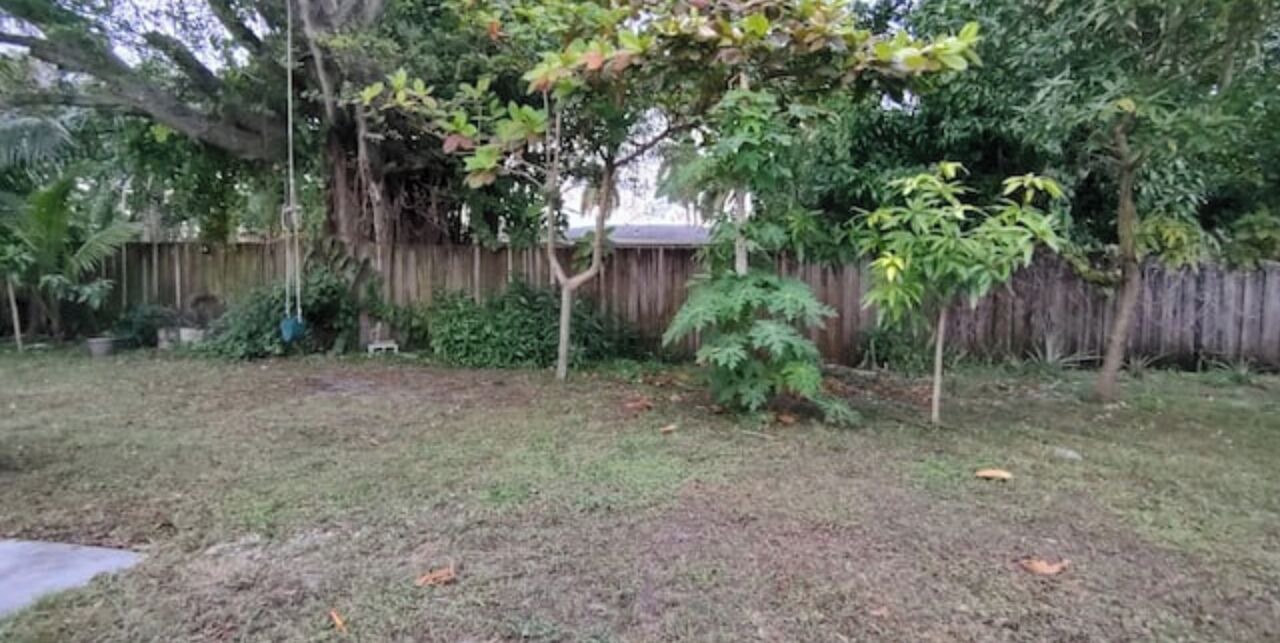 Photo of Outdoor in West Park