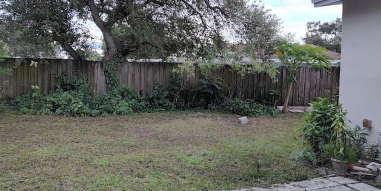 Photo of Outdoor in West Park