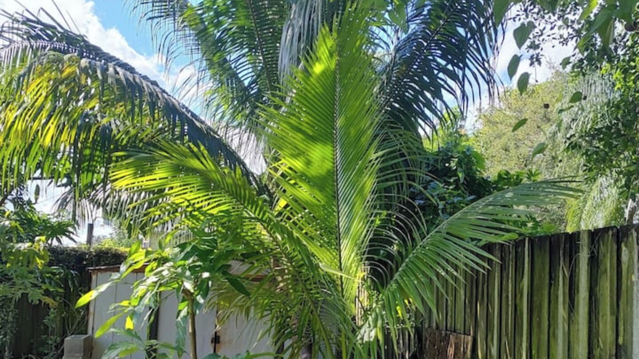 Photo of Outdoor in West Park