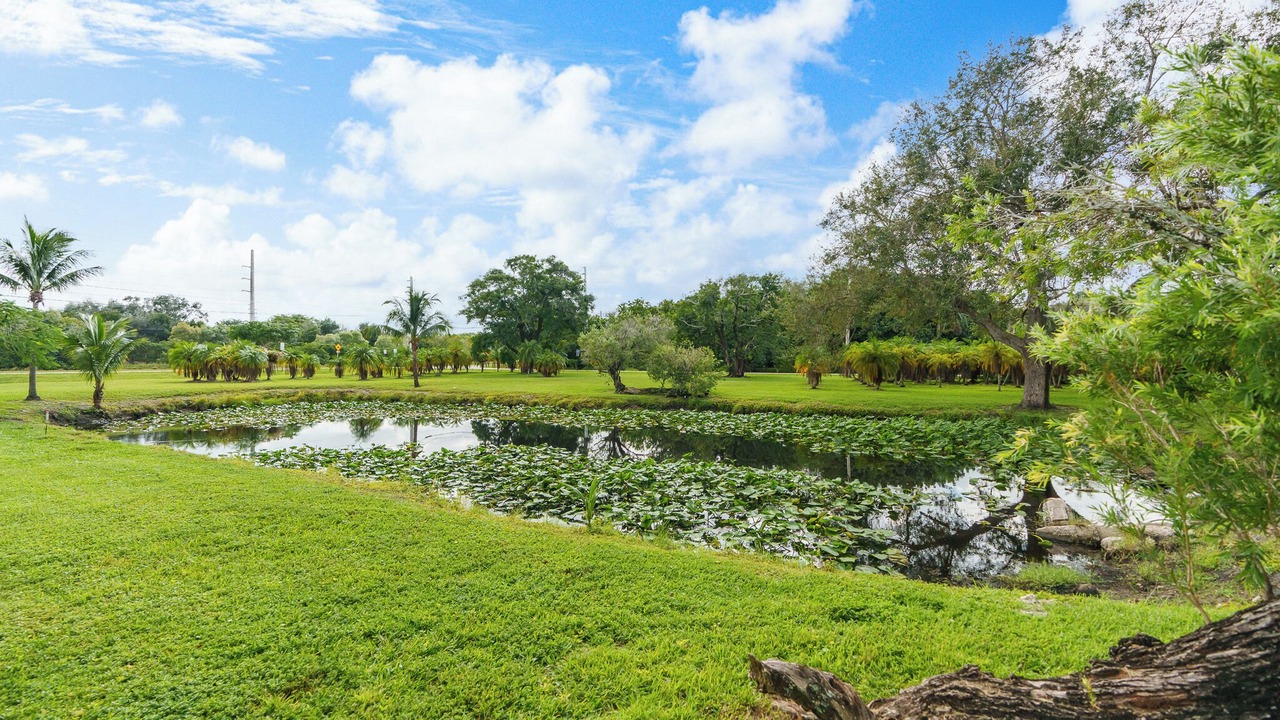 Photo of Outdoor in Plantation