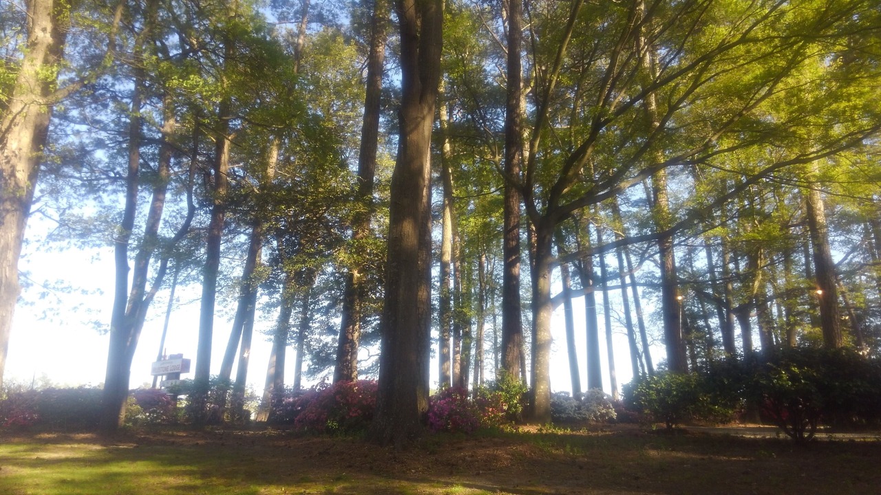 Photo of Outdoor in Cape Charles