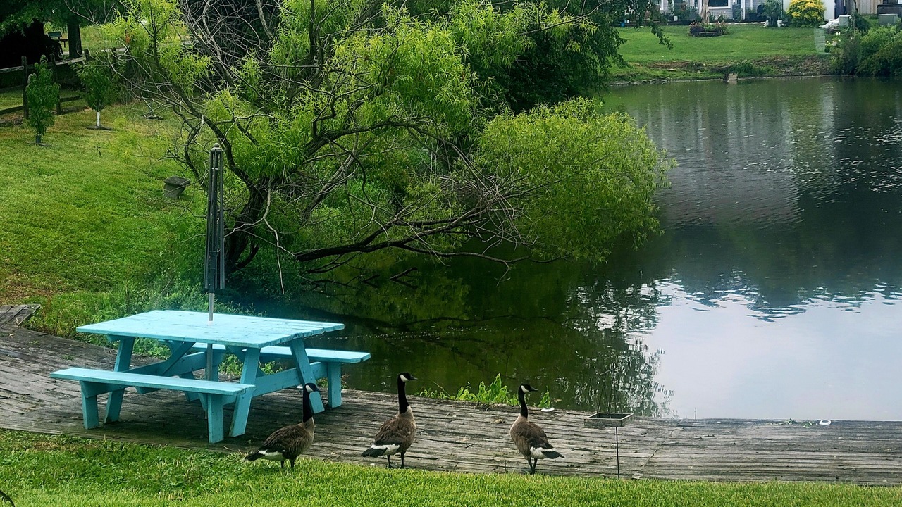 Photo of Others in Virginia Beach