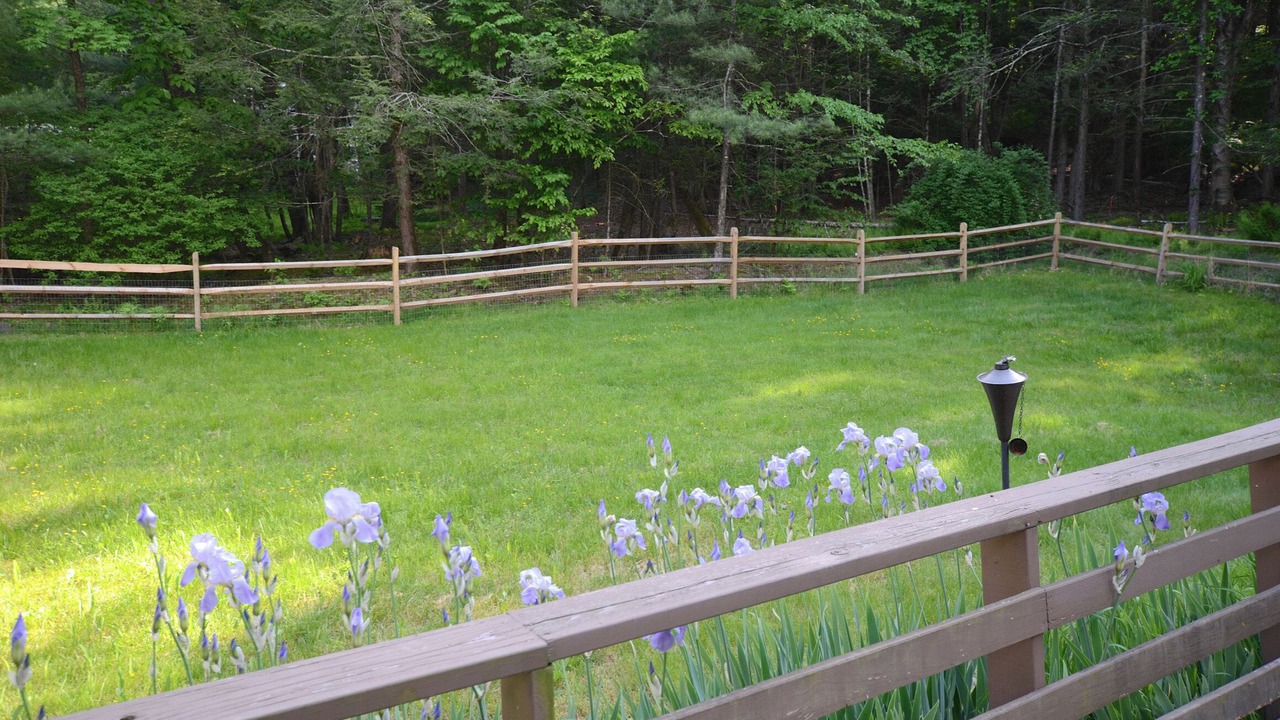 Photo of Outdoor in Boiceville