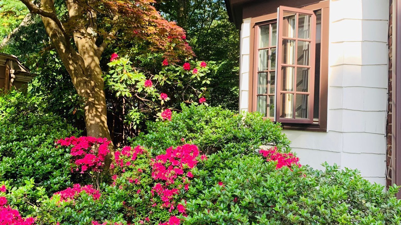 Photo of Outdoor in Montclair
