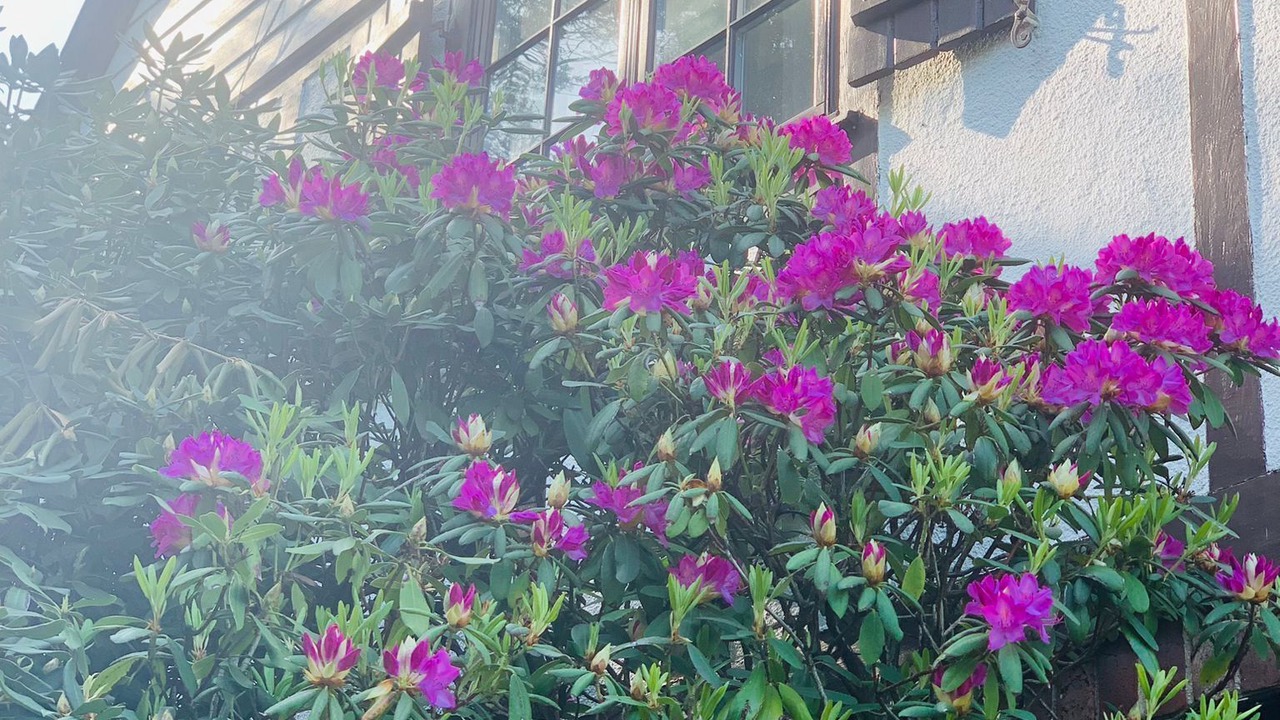 Photo of Outdoor in Montclair