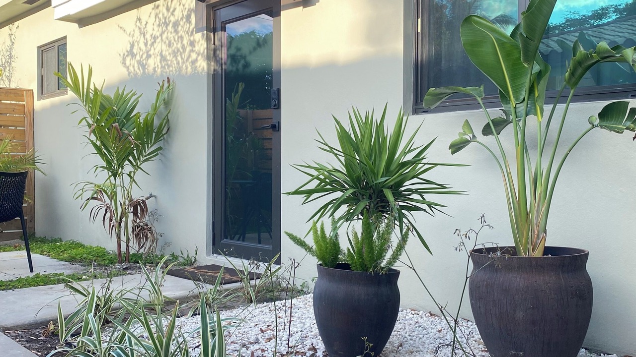 Photo of Outdoor in North Miami