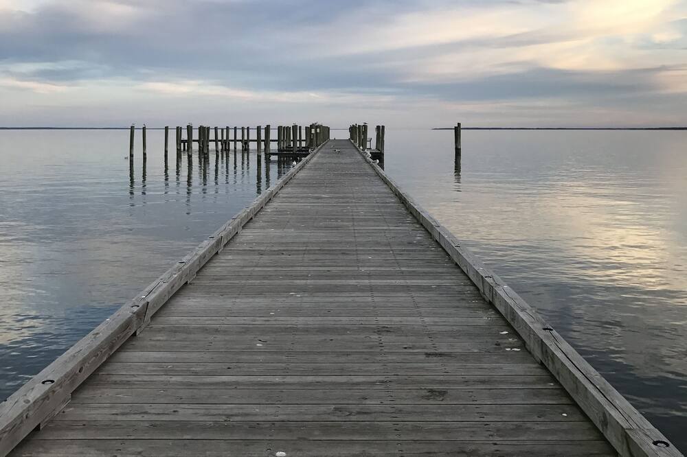 Photo of Others in Coltons Point