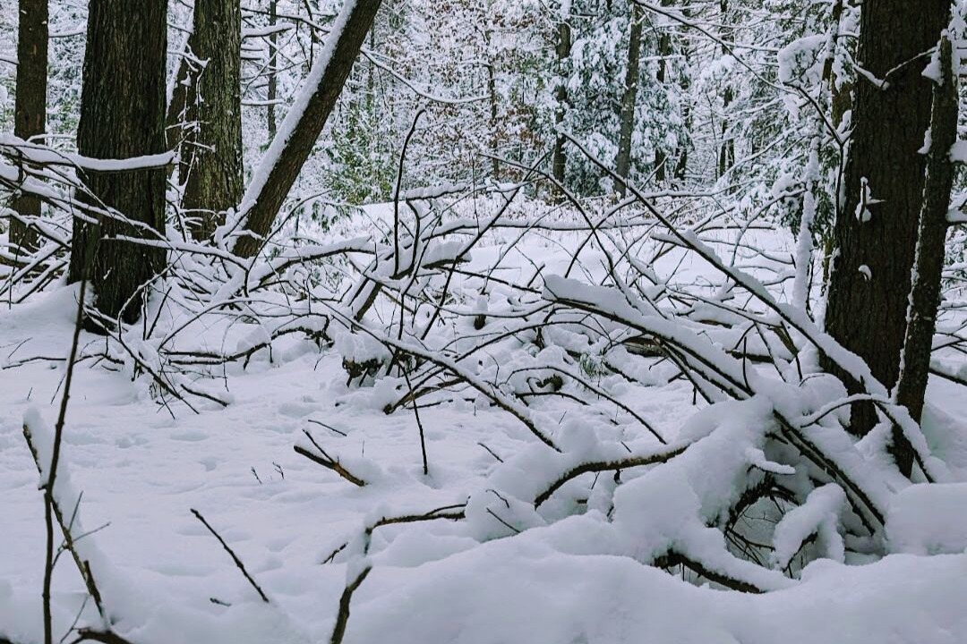 Photo of Outdoor in Kerhonkson