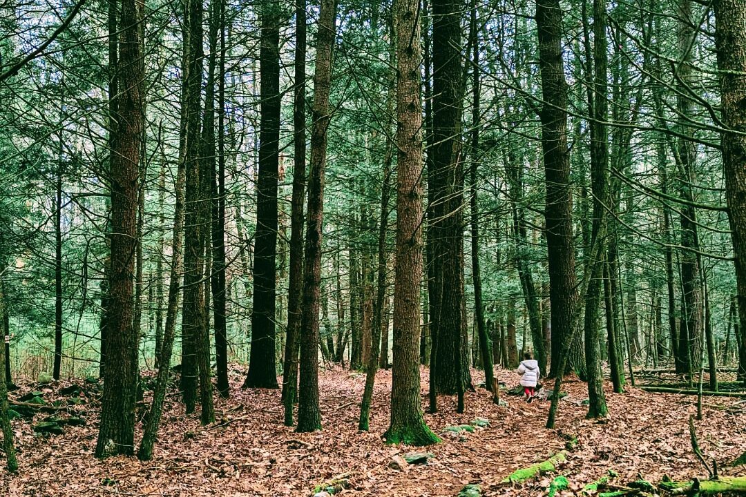 Photo of Outdoor in Kerhonkson