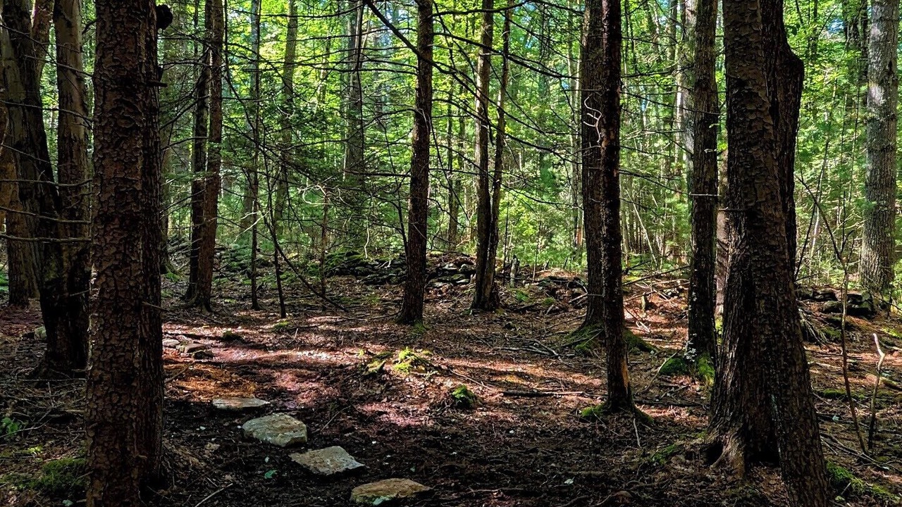 Photo of Outdoor in Kerhonkson