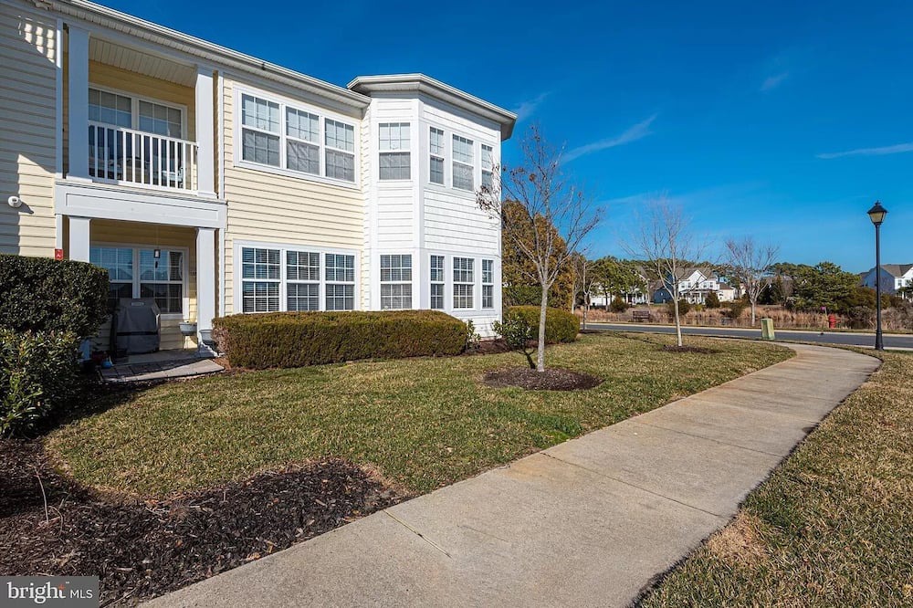 Photo of Outdoor in Bayside