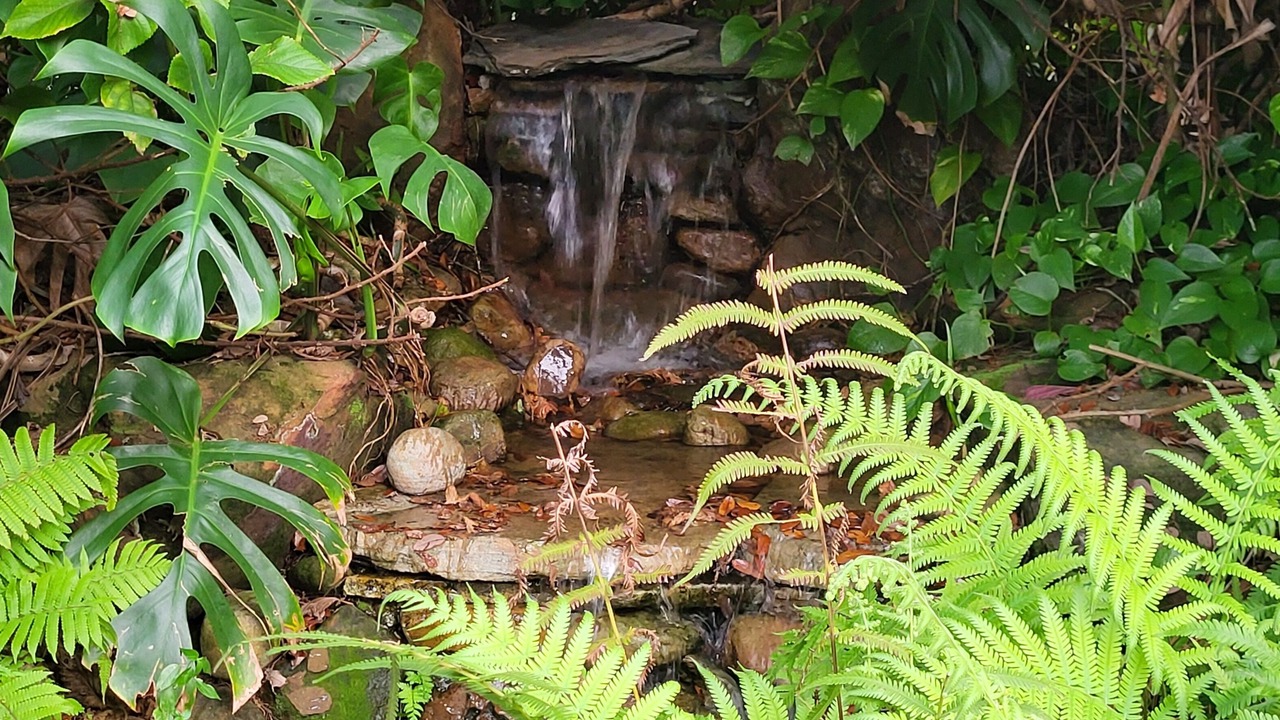 Photo of Outdoor in Boca Raton