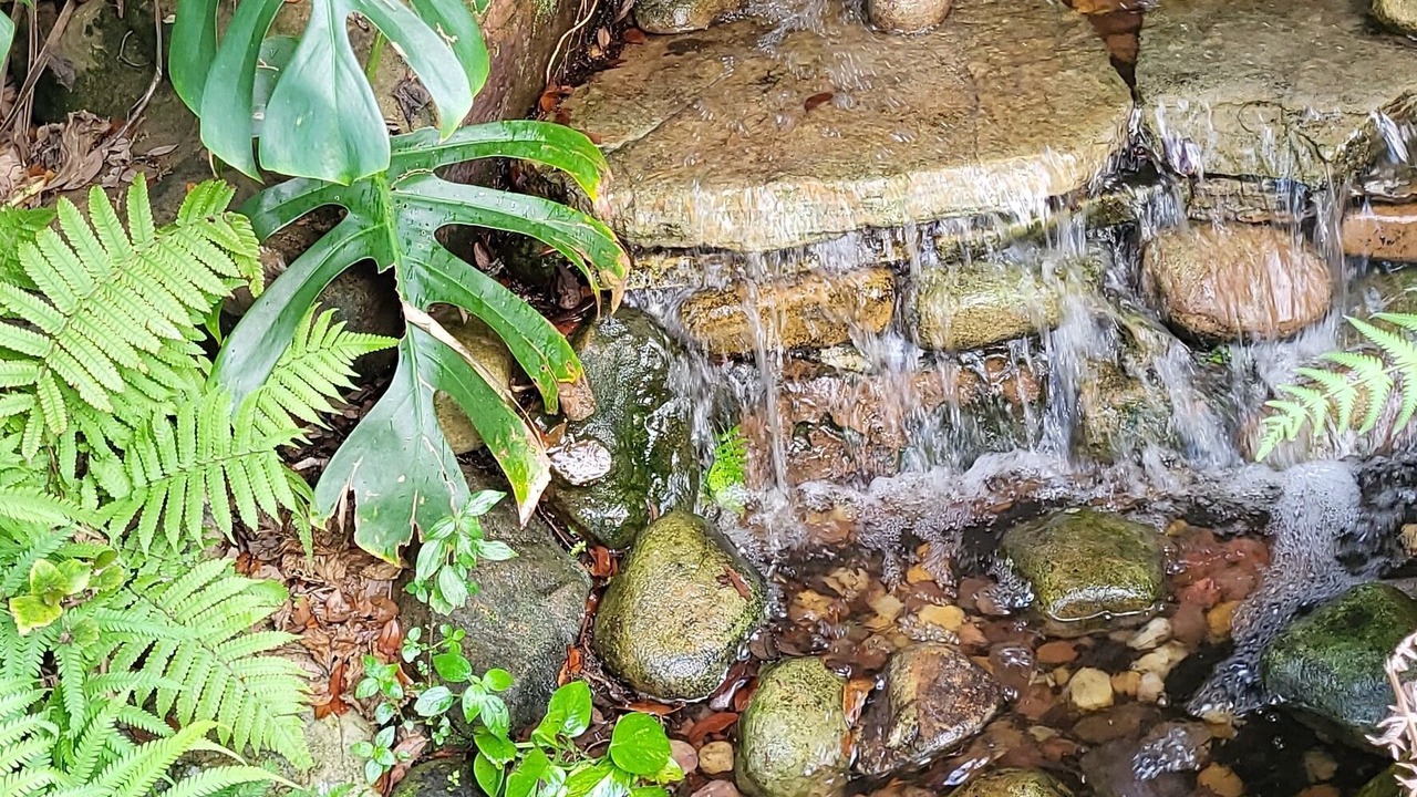 Photo of Outdoor in Boca Raton