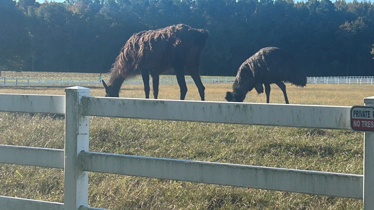 Photo of Others in Milton