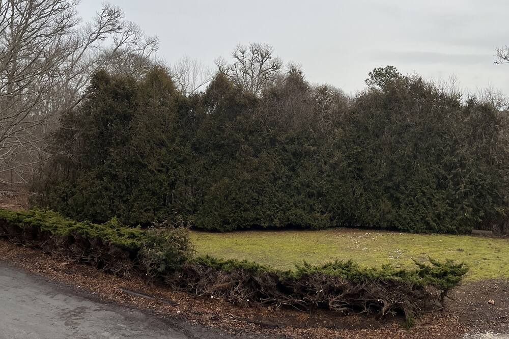 Photo of Others in Northwest Harwich