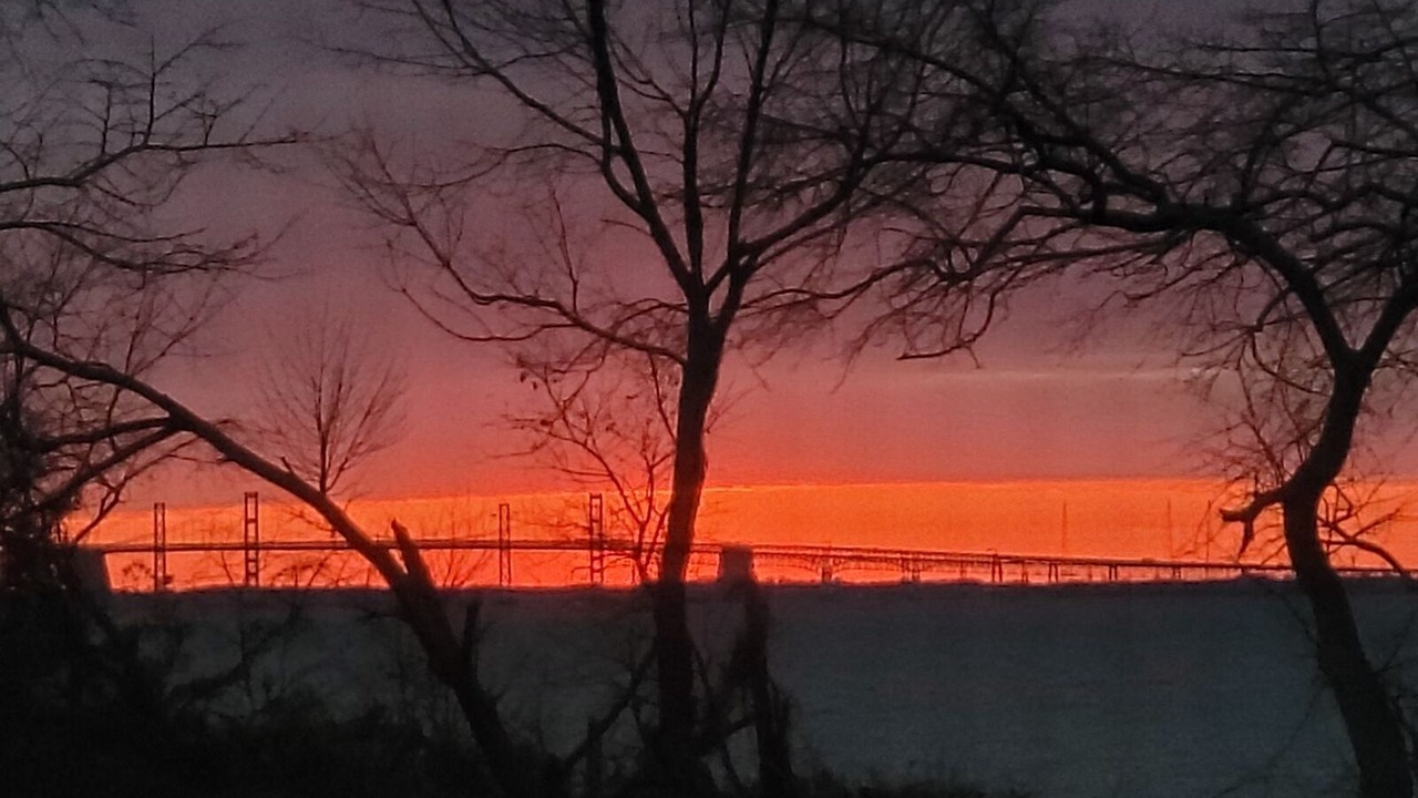 Photo of Others in Stevensville