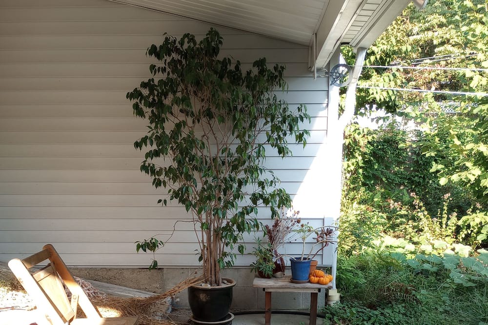 Photo of Patio Balcony in Nelsonville