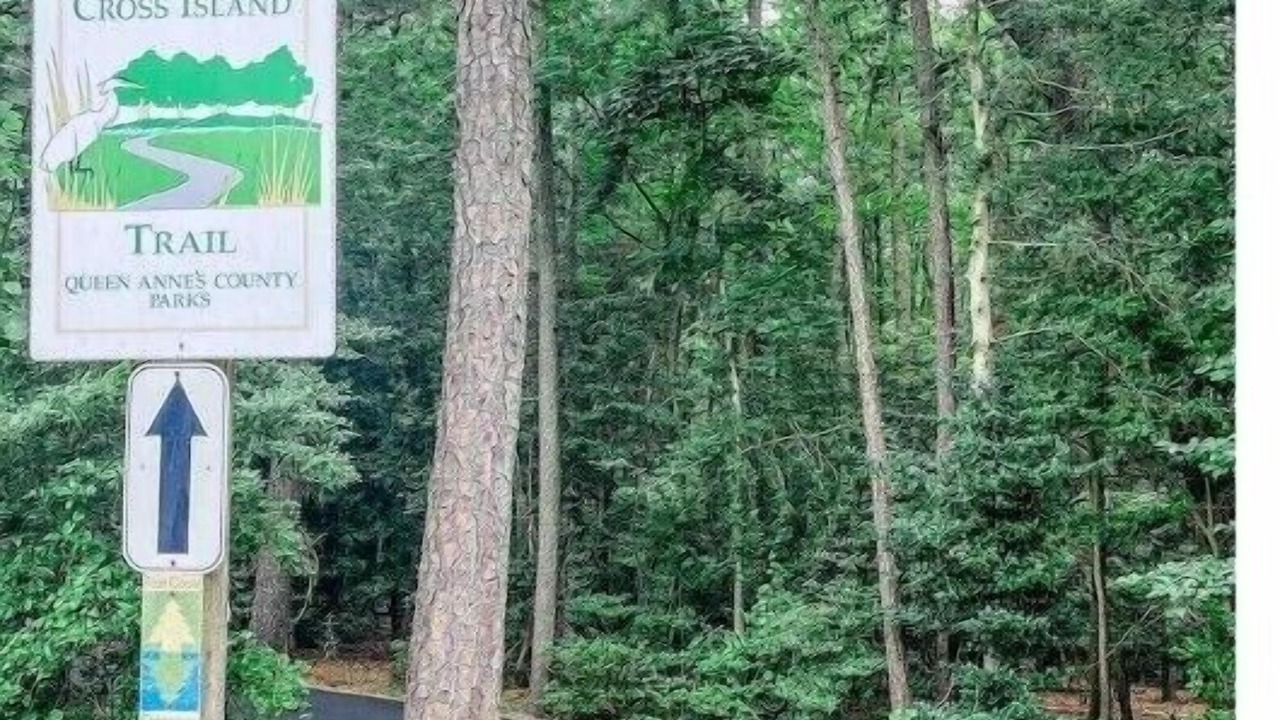 Photo of Outdoor in Kent Narrows