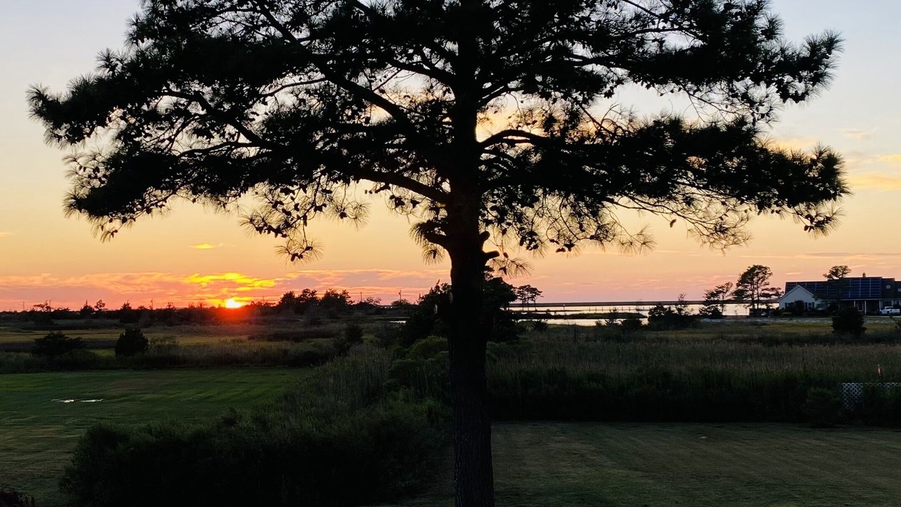 Photo of Outdoor in Crisfield