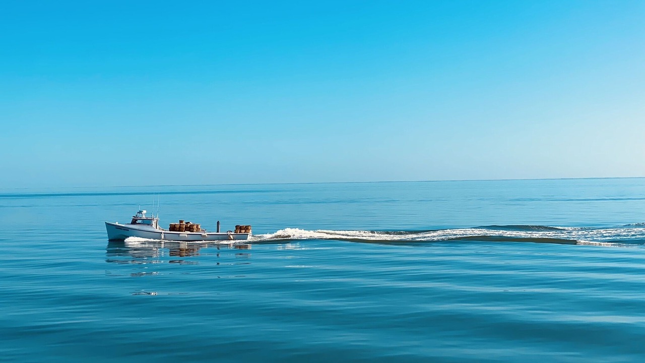 Photo of Others in Crisfield