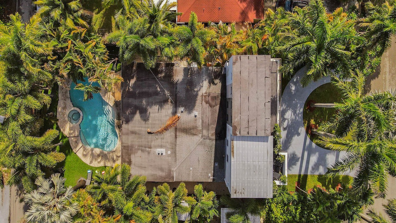 Photo of Outdoor in Royal Poinciana