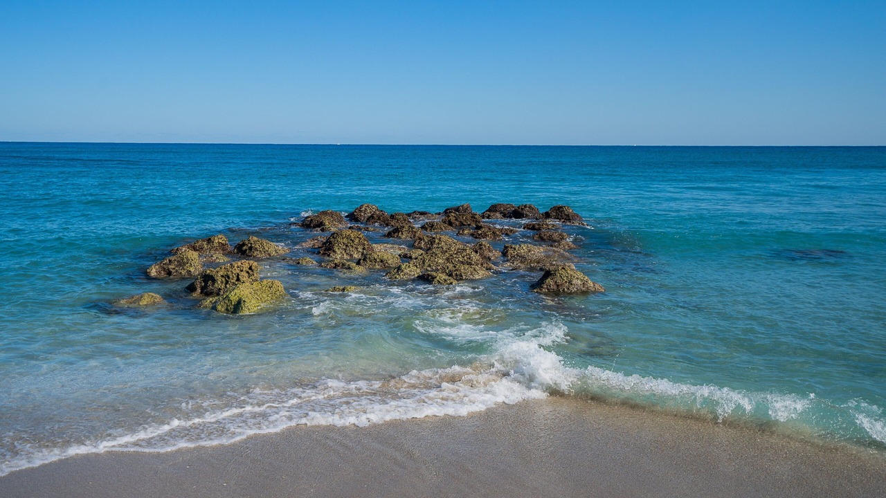 Photo of Others in Boca Raton