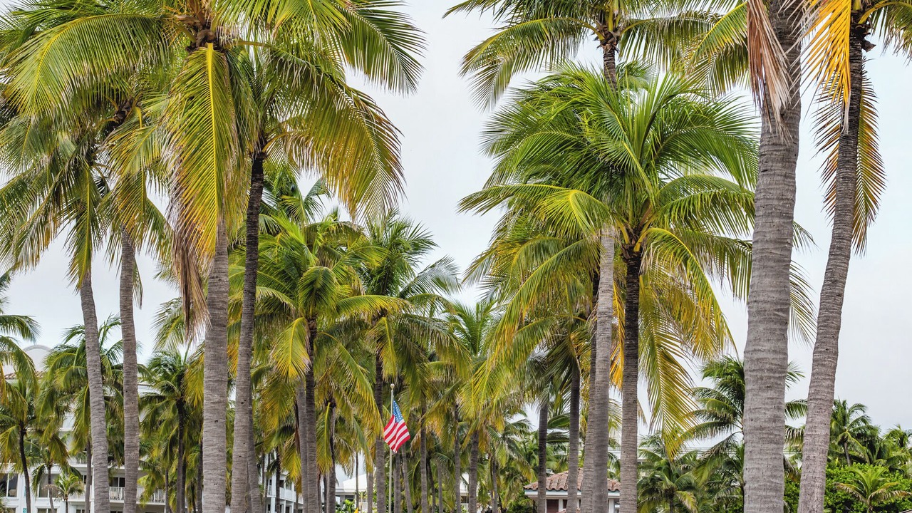 Photo of Others in Harbour Isles of Fort Lauderdale