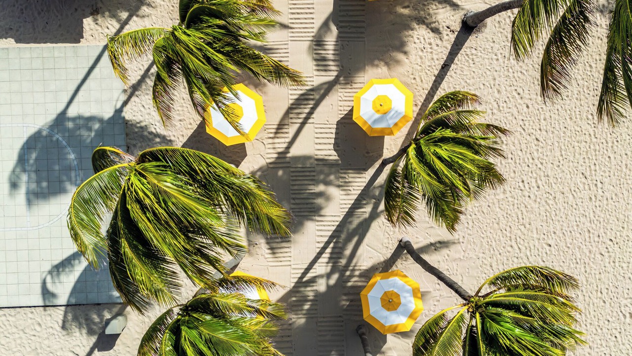 Photo of Outdoor in Harbour Isles of Fort Lauderdale