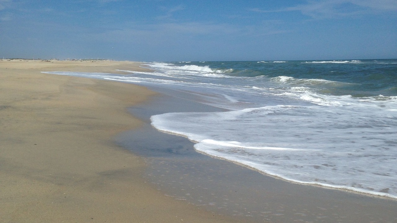 Photo of Others in Chincoteague