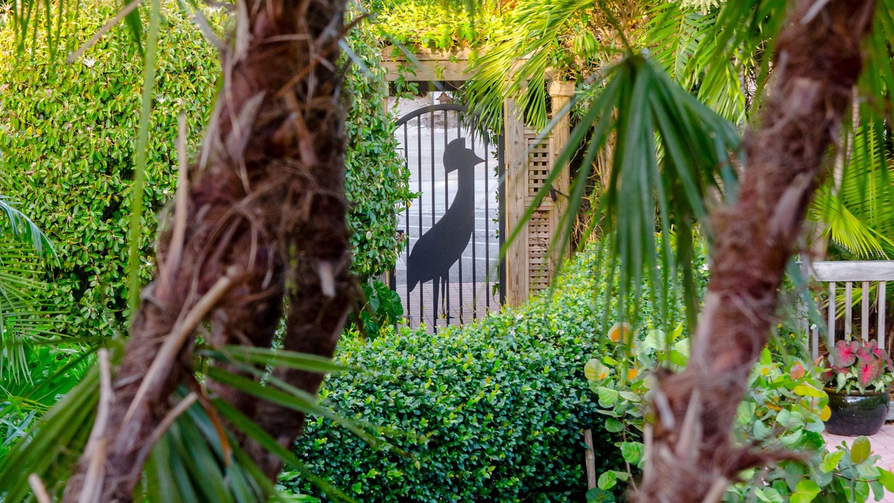 Photo of Outdoor in Delray Beach