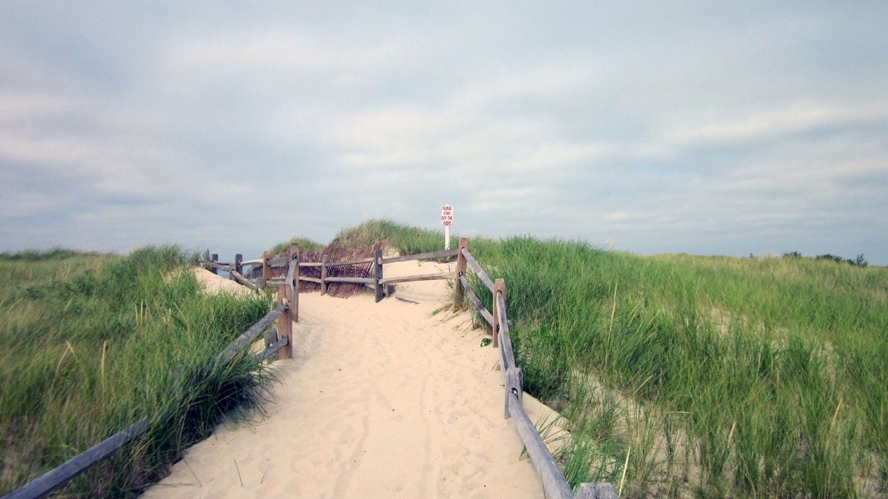 Photo of Others in Brewster
