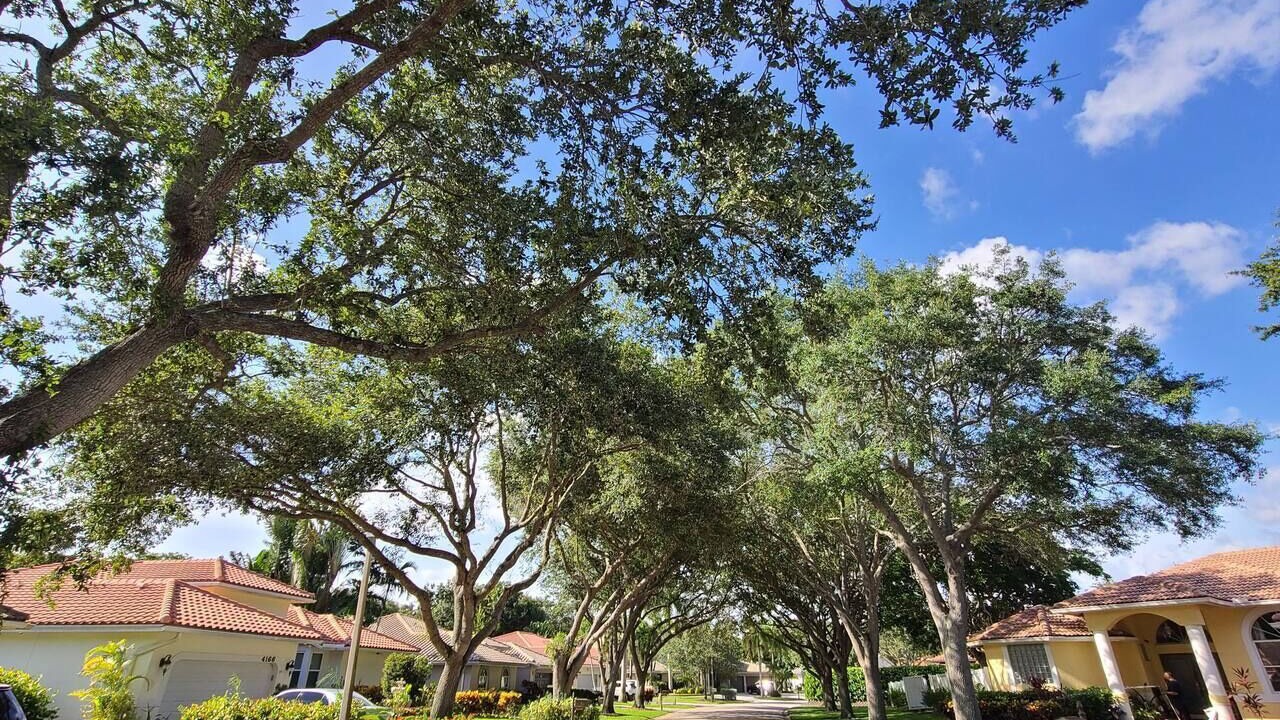 Photo of Outdoor in Coral Springs