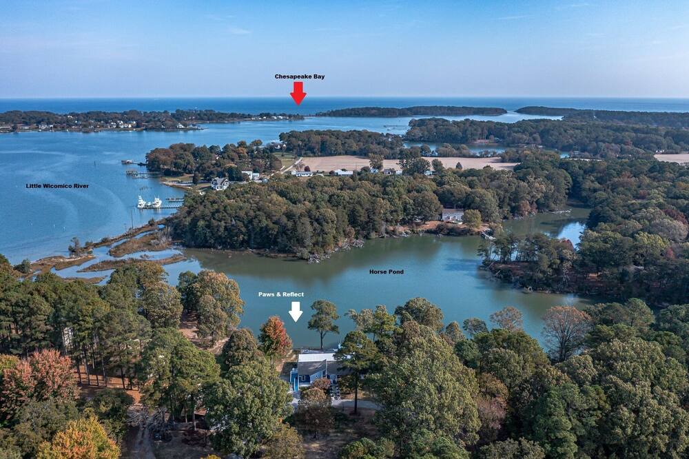 Photo of Others in Reedville