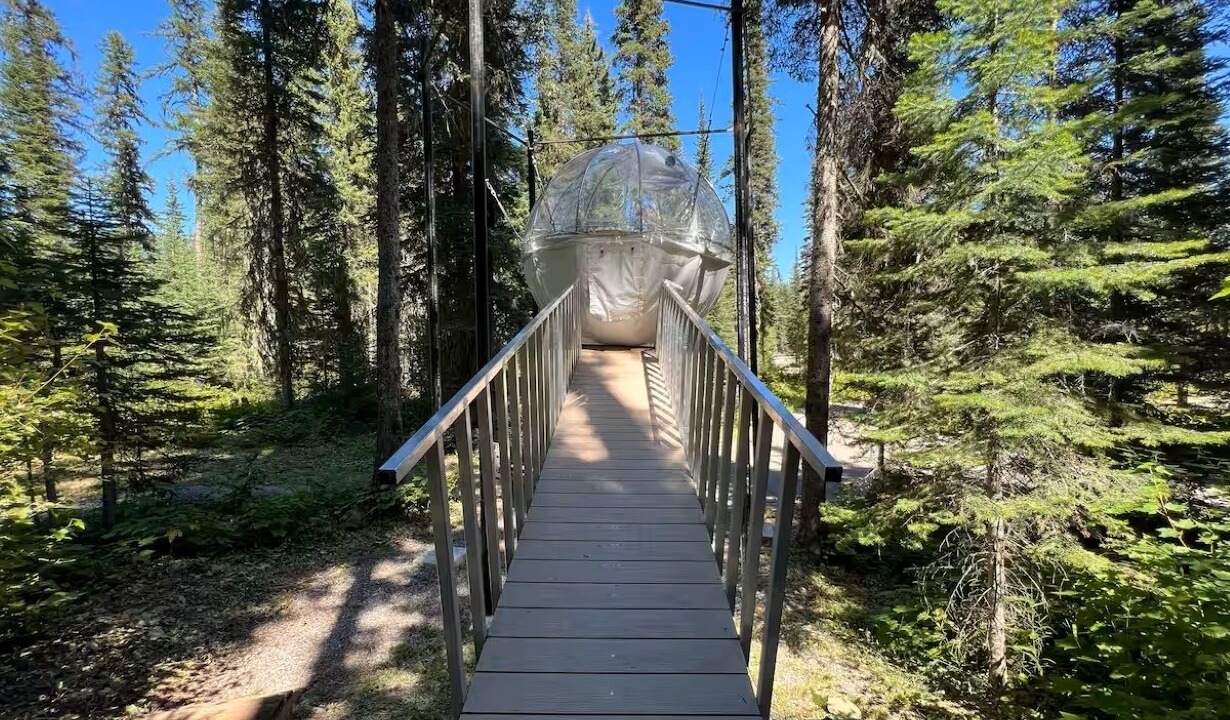 Photo of Outdoor in West Glacier