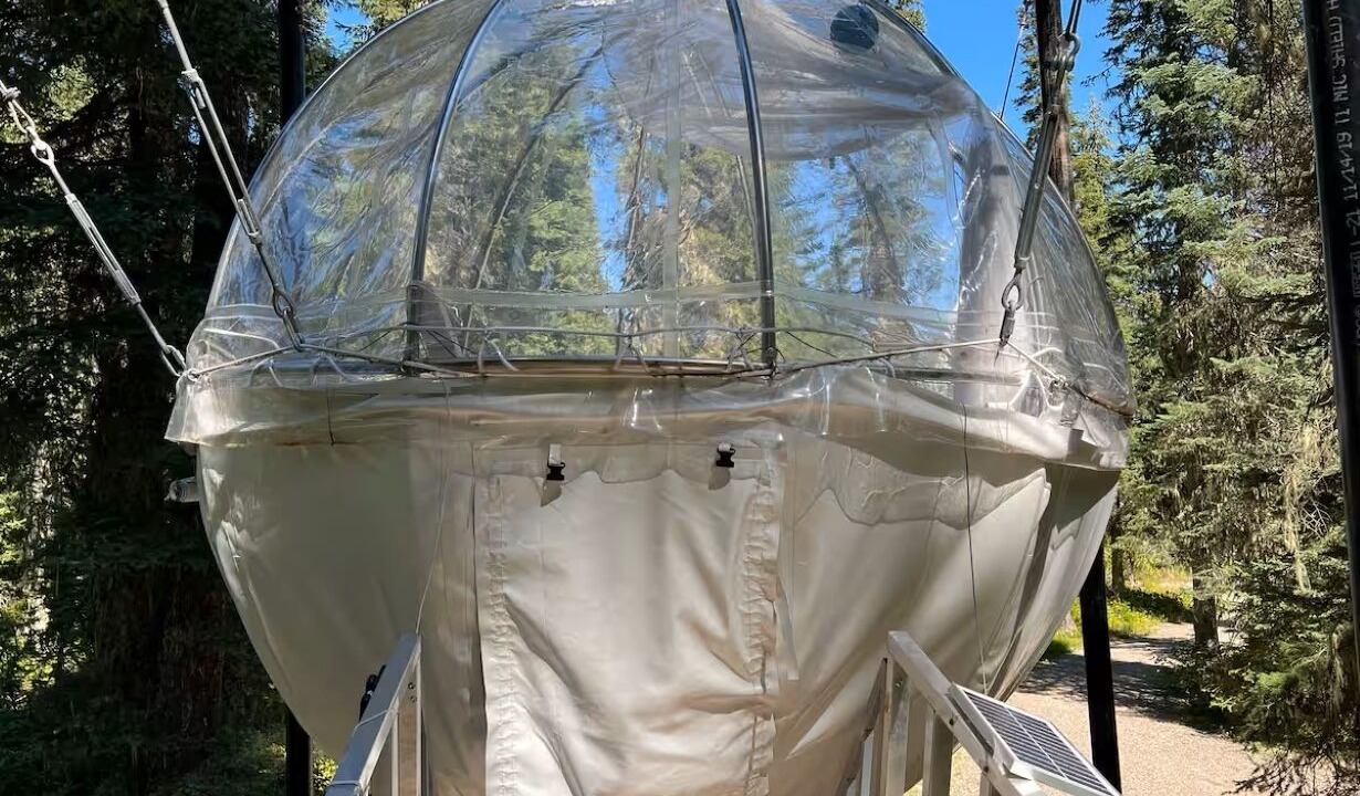 Photo of Outdoor in West Glacier