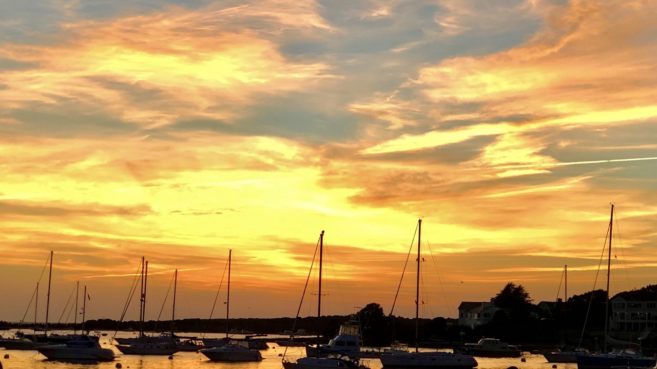 Photo of Others in Falmouth