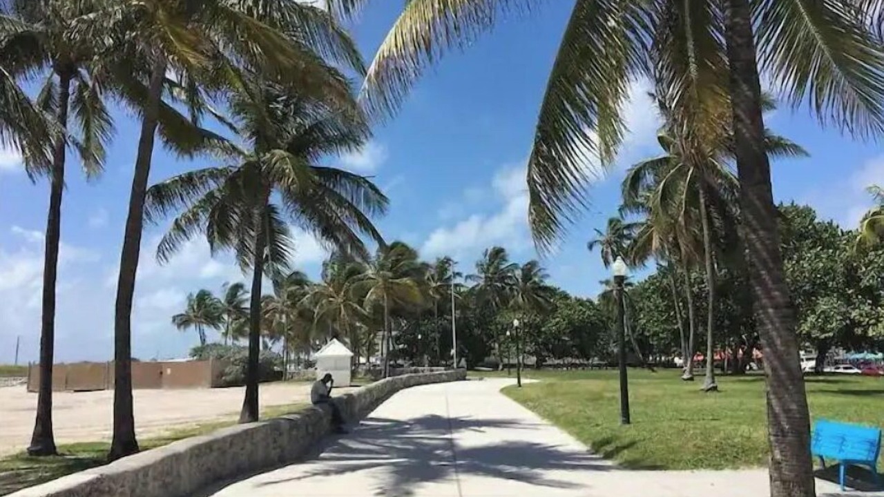 Photo of Others in South Beach