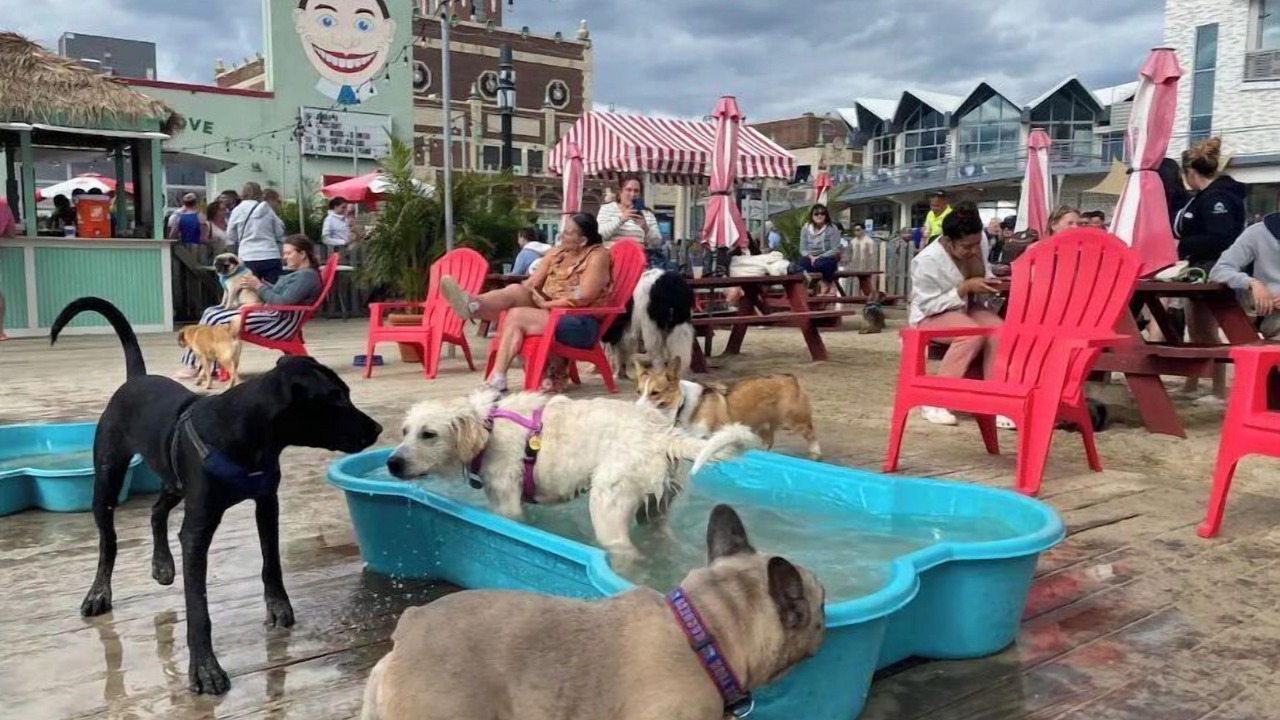 Photo of Outdoor in Ocean Grove
