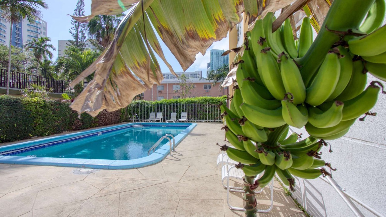 Photo of Outdoor in Midtown