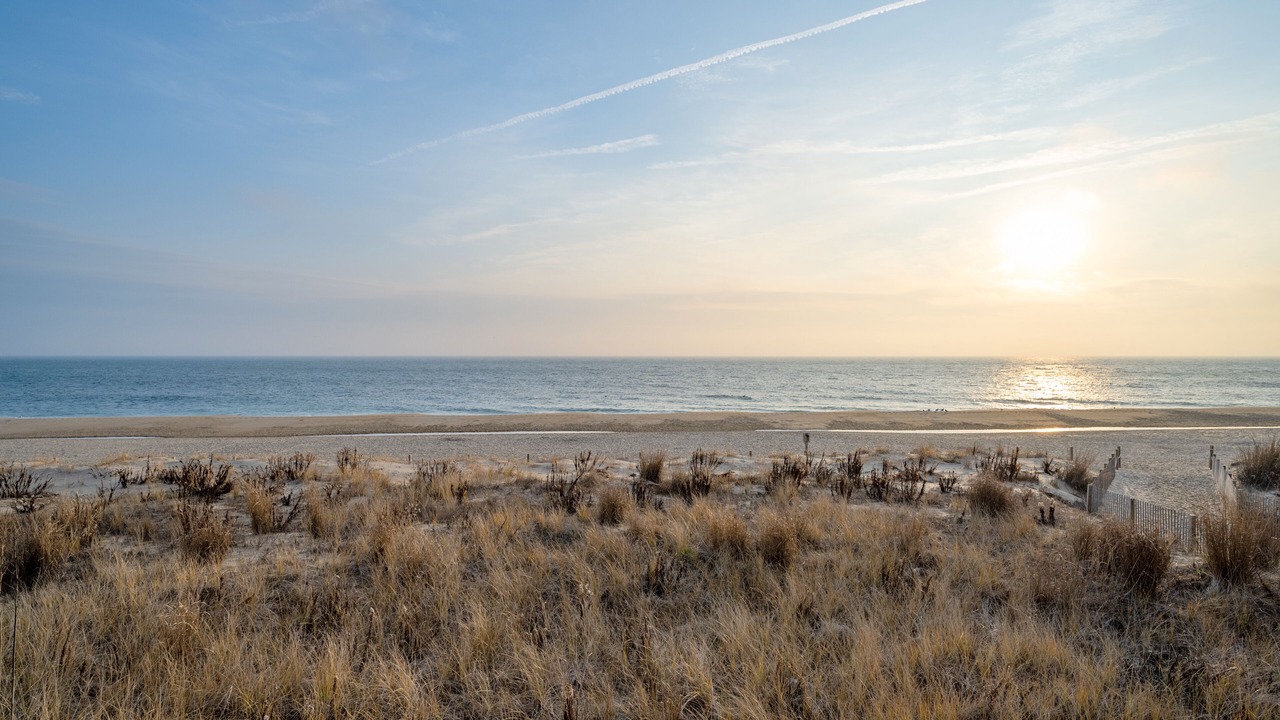 Photo of Others in North Ocean City