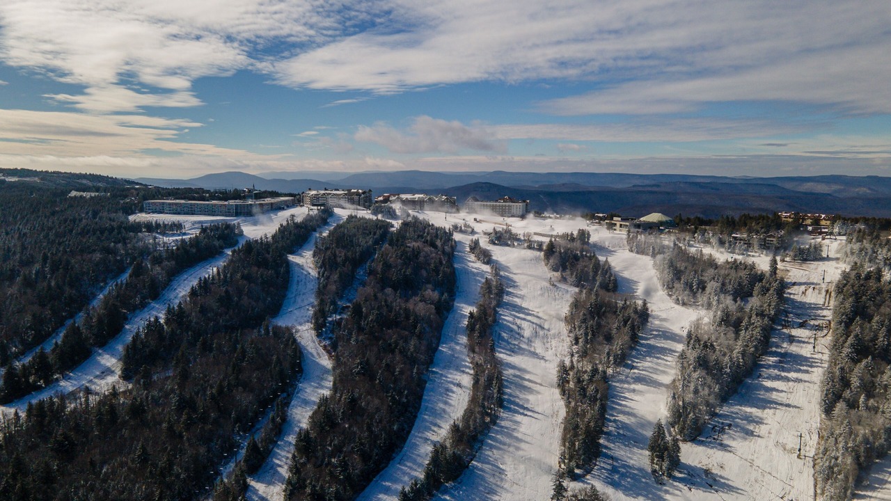 Photo of Others in Snowshoe